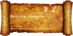 Metzing Levente névjegykártya