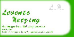 levente metzing business card